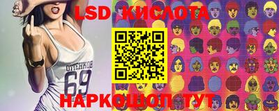 прущие крисы Камышлов