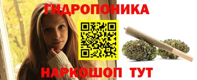 СК Канаш