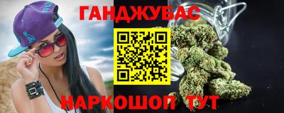прущие крисы Камышлов