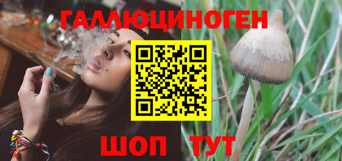 Галлюциногенные грибы Magic Shrooms  Вход с VPN  Кудрово  Псилоцибиновые грибы Cubensis 