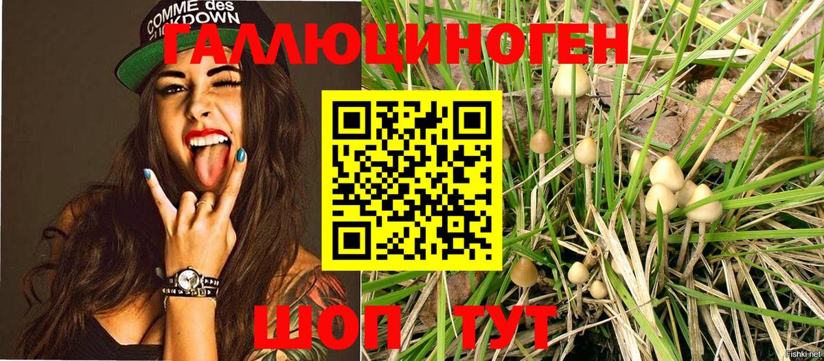 Галлюциногенные грибы мухоморы Кудрово